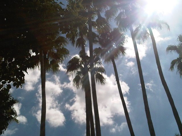 img06154 20101006 2039