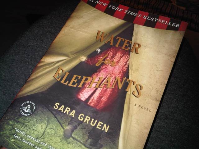 img00985 20110129 1800