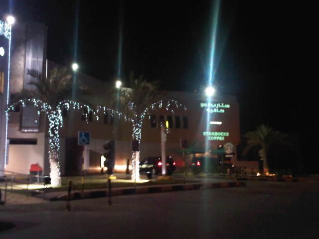 img01389 20110215 2218