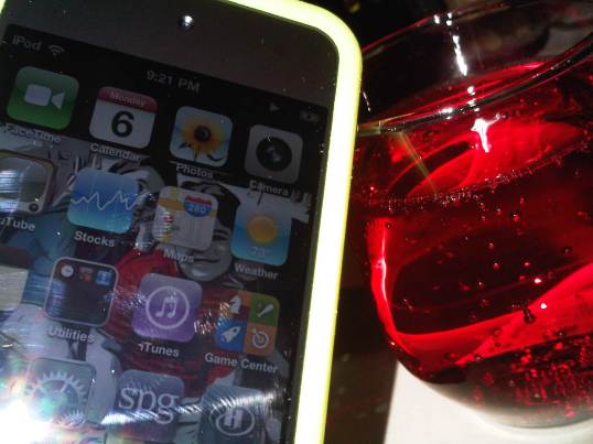 img02498 20110606 2116